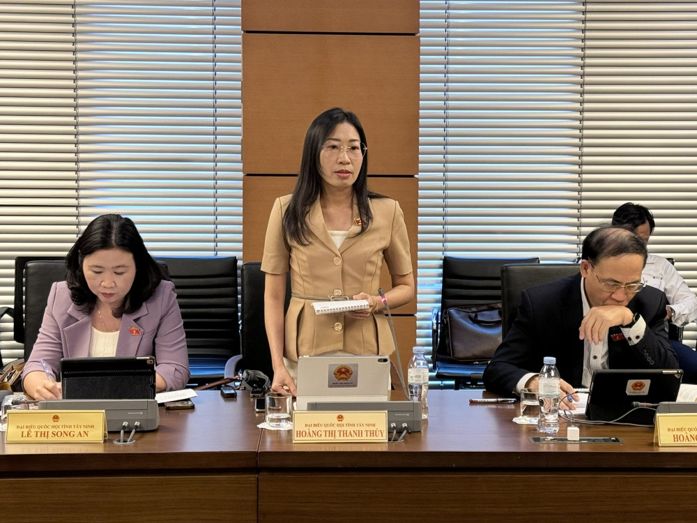 Đại biểu Hoàng Thị Thanh Thúy - Phó Trưởng đoàn chuyên trách Đoàn đại biểu Quốc hội tỉnh Tây Ninh, phát biểu
