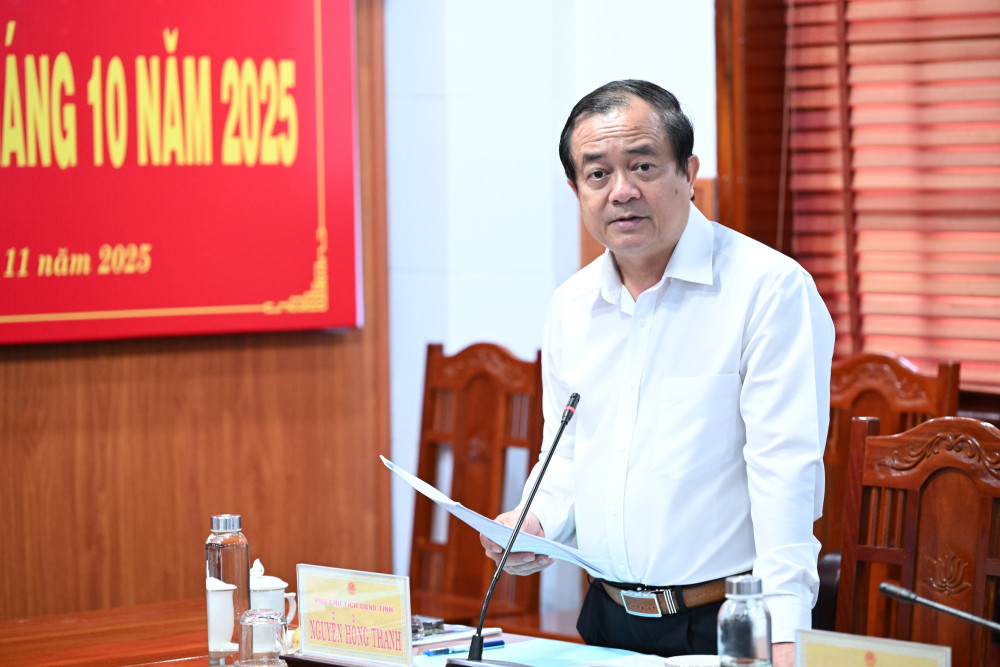 Ủy viên Ban Thường vụ Tỉnh ủy, Phó Chủ tịch UBND tỉnh Nguyễn Hồng Thanh đóng góp ý kiến