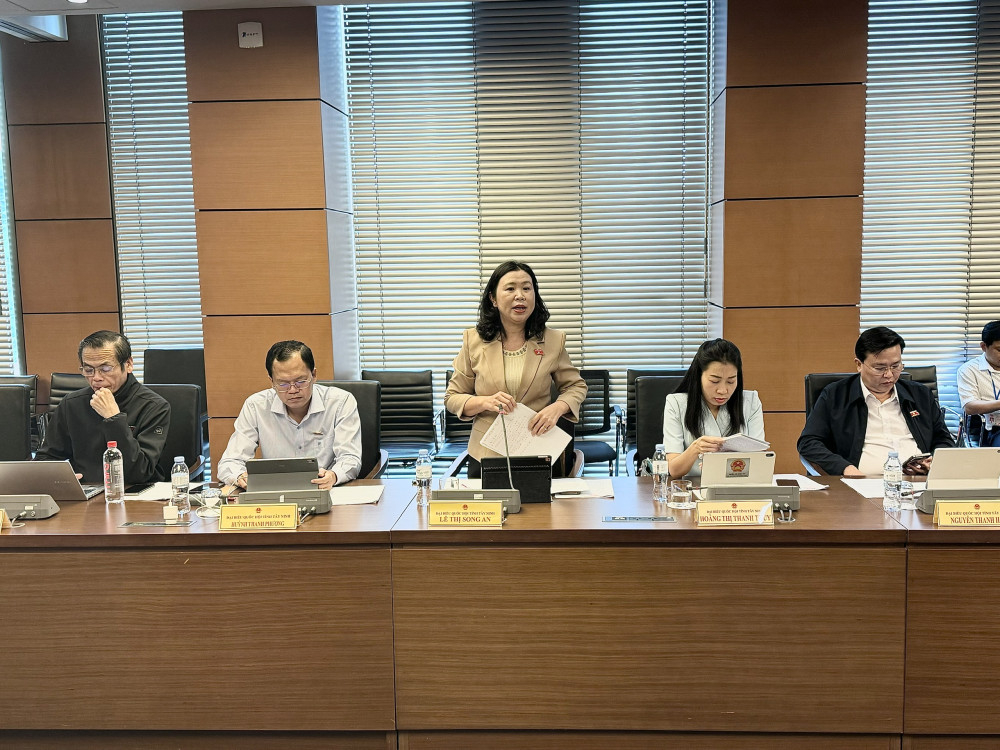 Đại biểu Lê Thị Song An - Phó Trưởng đoàn chuyên trách Đoàn ĐBQH tỉnh phát biểu thảo luận