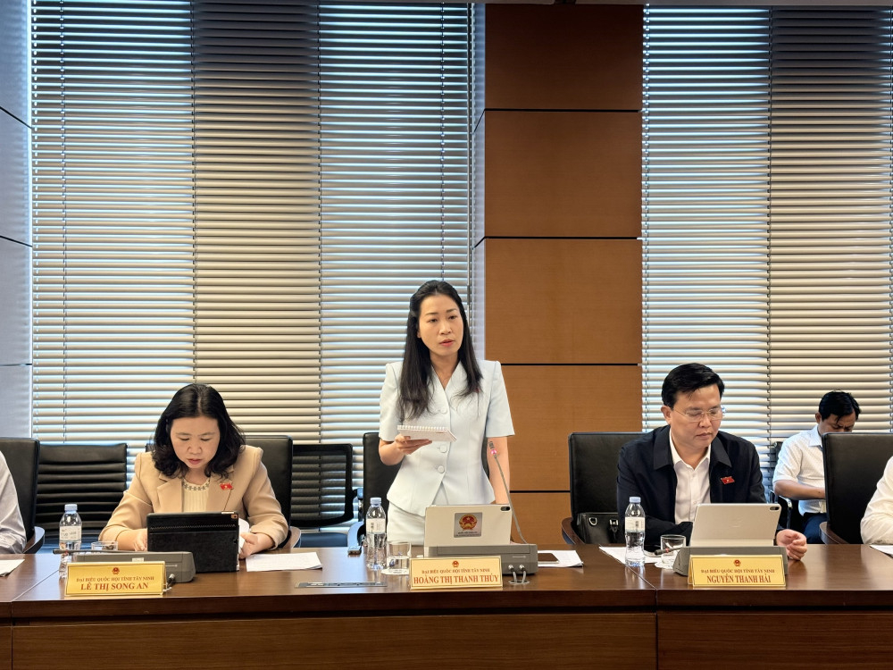 Đại biểu Hoàng Thị Thanh Thúy - Phó Trưởng đoàn chuyên trách Đoàn ĐBQH tỉnh phát biểu