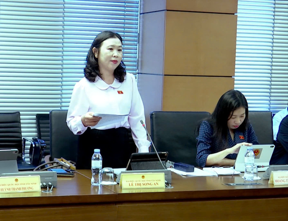 Đại biểu Lê Thị Song An - Phó Trưởng đoàn chuyên trách Đoàn đại biểu Quốc hội tỉnh, phát biểu tại buổi thảo luận 