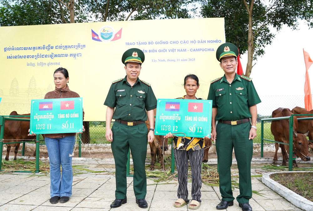 Lãnh đạo Ban Chỉ huy BĐBP Tây Ninh trao bảng tượng trưng tặng bò giống cho người dân khu vực biên giới