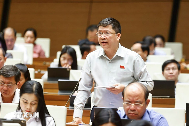 Đại biểu Quốc hội thành phố Đà Nẵng Tạ Văn Hạ phát biểu. (Ảnh: Doãn Tấn/TTXVN)