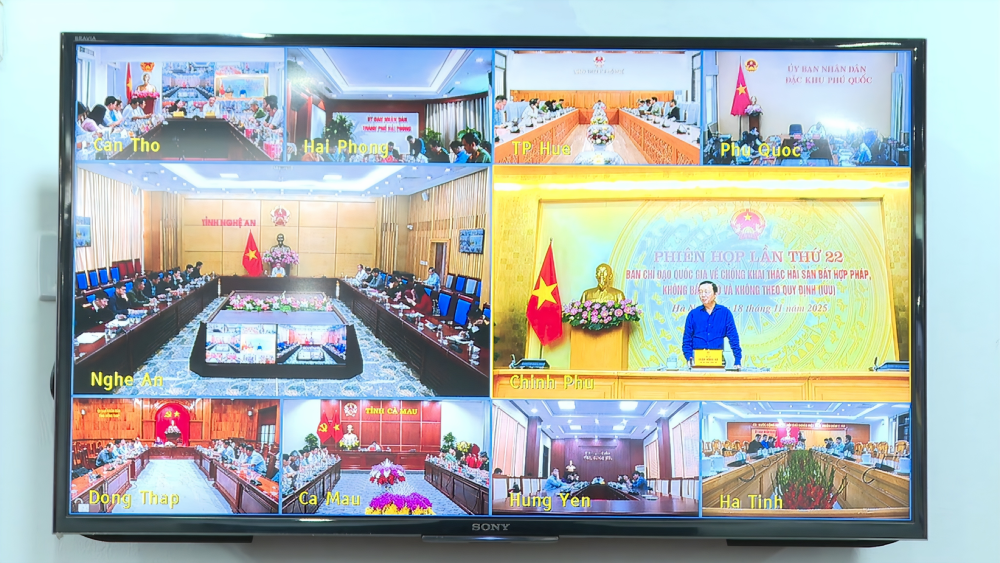 Hội nghị kết nối trực tuyến đến 21 tỉnh, thành phố có tàu cá hoạt động trên biển