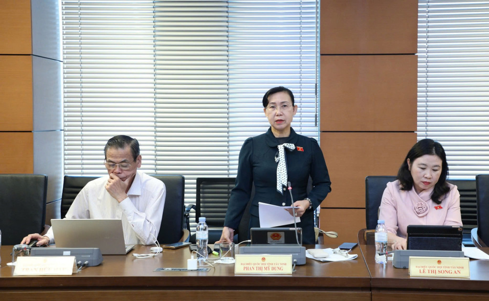 Đại biểu Phan Thị Mỹ Dung đóng góp ý kiến tại tổ thảo luận