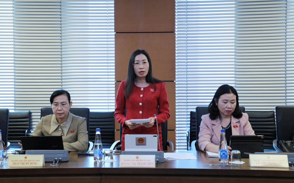 Đại biểu Hoàng Thị Thanh Thúy - Phó Trưởng đoàn chuyên trách Đoàn ĐBQH tỉnh phát biểu ý kiến tại phiên thảo luận tổ