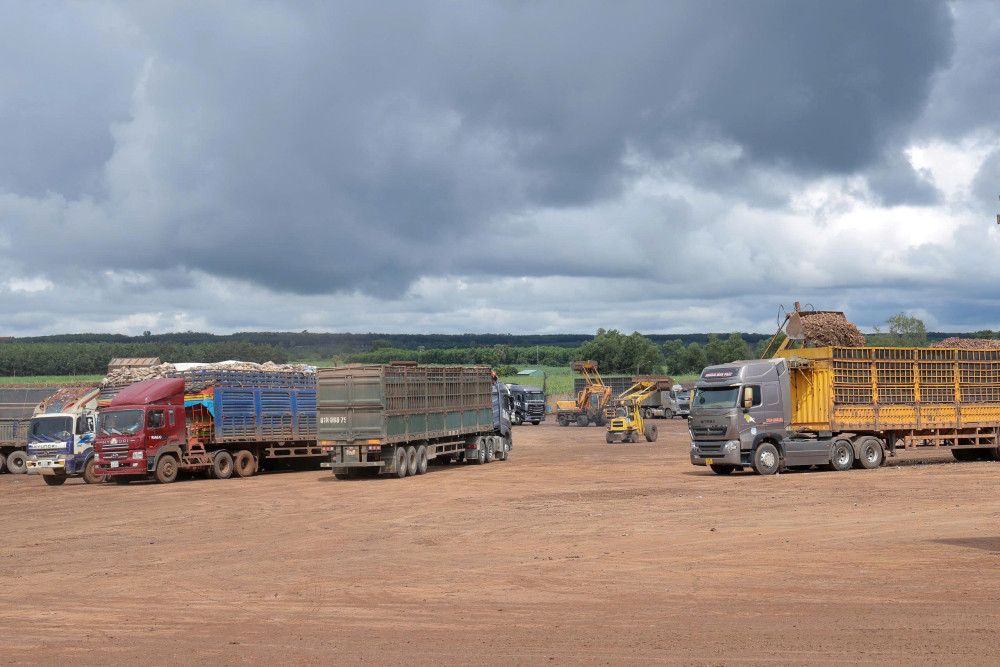 Khoai mì tươi nhập khẩu từ Campuchia qua Cửa khẩu Chàng Riệc tập kết tại bãi kiểm tra hàng hóa