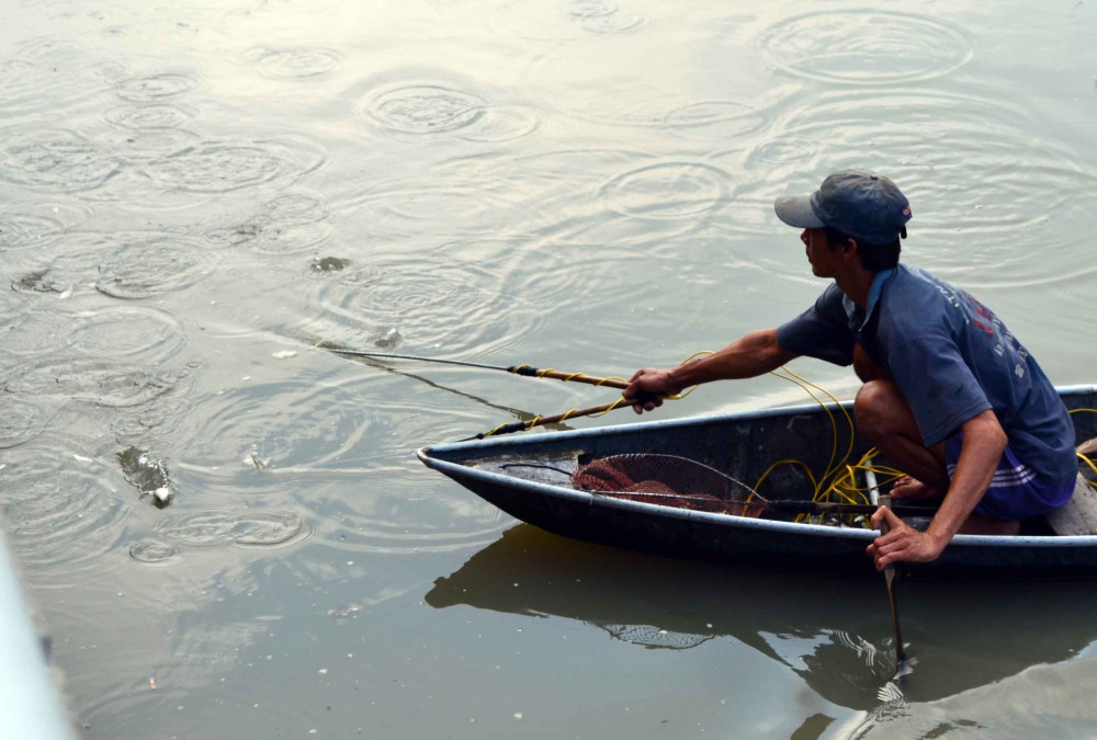 Không sử dụng xung điện, dòng điện có tính hủy diệt, tận diệt để khai thác nguồn lợi thủy sản (ảnh minh họa)
