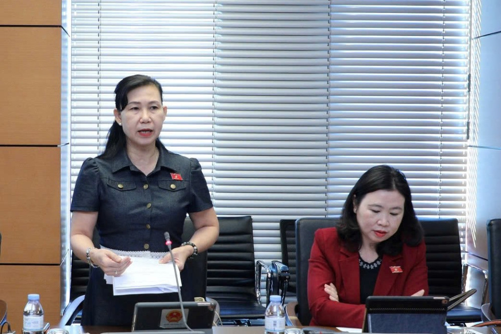 Đại biểu Phan Thị Mỹ Dung - Giám đốc Sở Tư pháp đóng góp ý kiến tại Tổ thảo luận