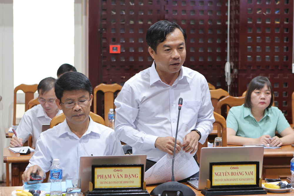 Trưởng ban Kinh tế - Ngân sách HĐND tỉnh Nguyễn Hoàng Nam phát biểu tại buổi giám sát
