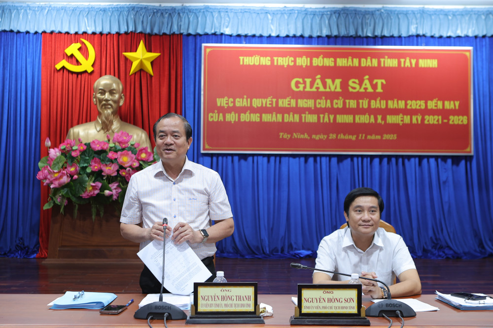 Ủy viên Ban Thường vụ Tỉnh ủy, Phó Chủ tịch UBND tỉnh Nguyễn Hồng Thanh phát biểu