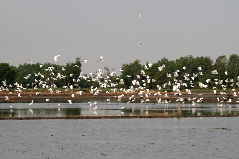 Không tận diệt, tiêu thụ động vật hoang dã
