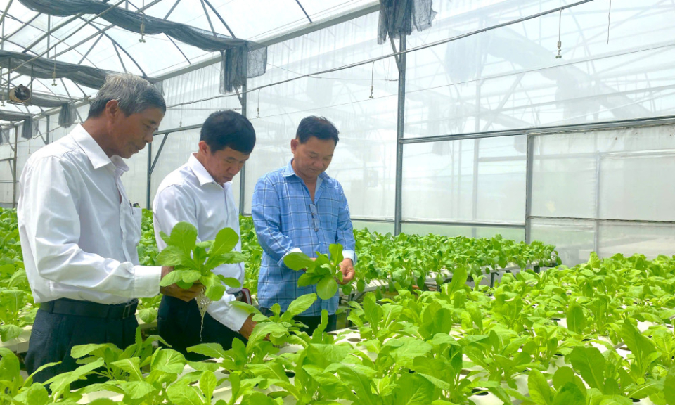 Improve the operations and management of agricultural cooperatives