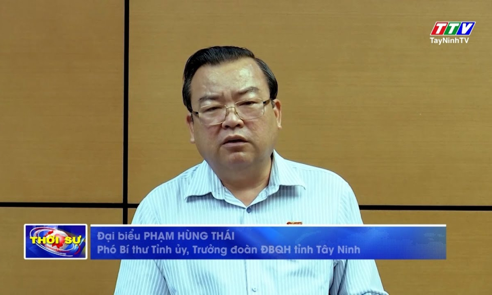 Cần có chính sách hỗ trợ doanh nghiệp Việt Nam đầu tư ra nước ngoài