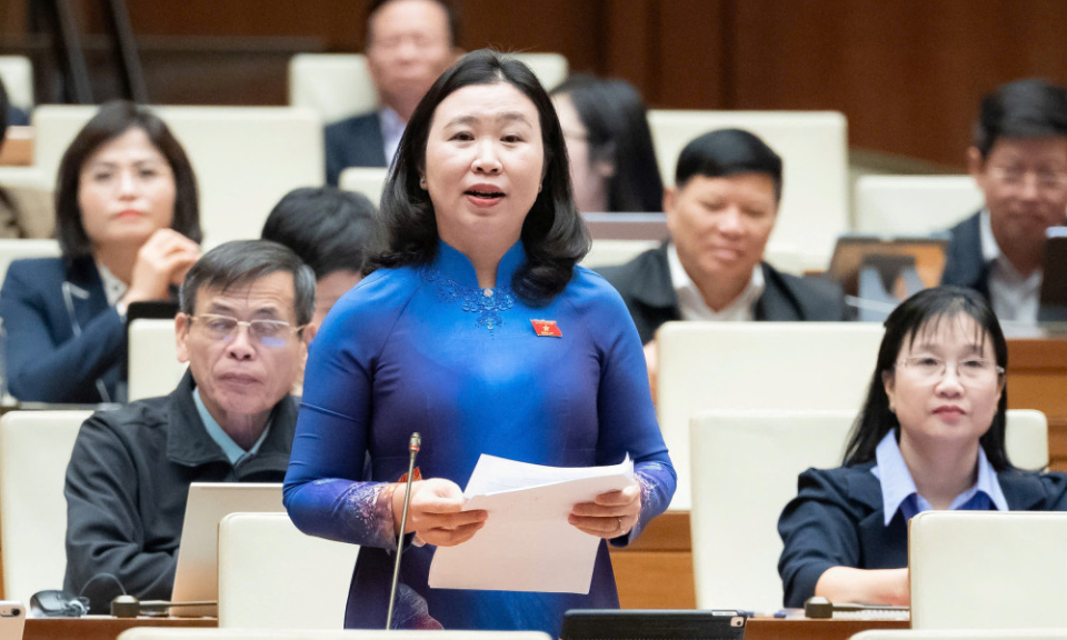 Đại biểu Quốc hội Lê Thị Song An: Cần làm rõ giá trị pháp lý của bằng trung học nghề