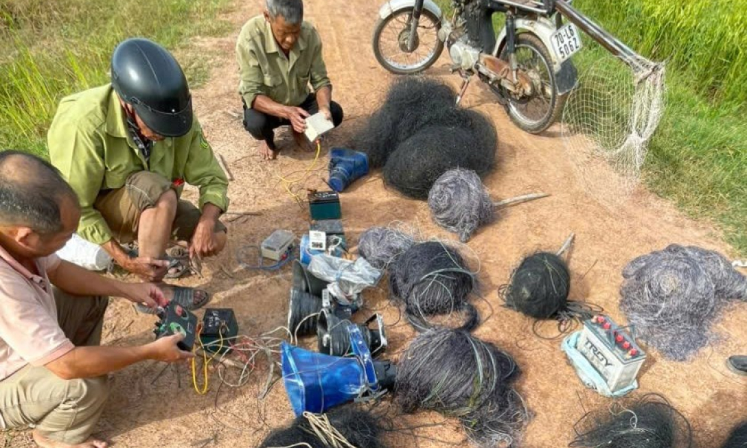 Phát hiện hành vi giăng lưới bắt chim hoang dã trên địa bàn xã Phước Vinh
