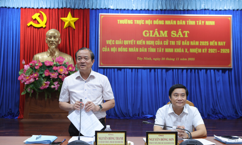 Thường trực HĐND tỉnh giám sát việc giải quyết kiến nghị của cử tri