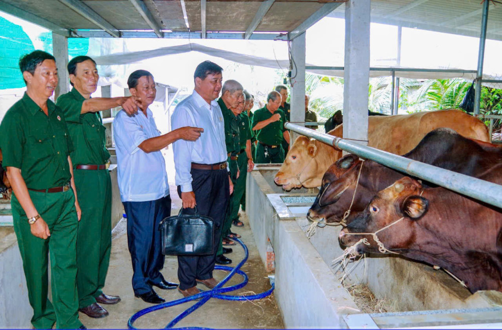 Các cấp Hội Cựu chiến binh thực hiện nhiều hình thức huy động vốn để cho hội viên vay phát triển sản xuất, ổn định cuộc sống