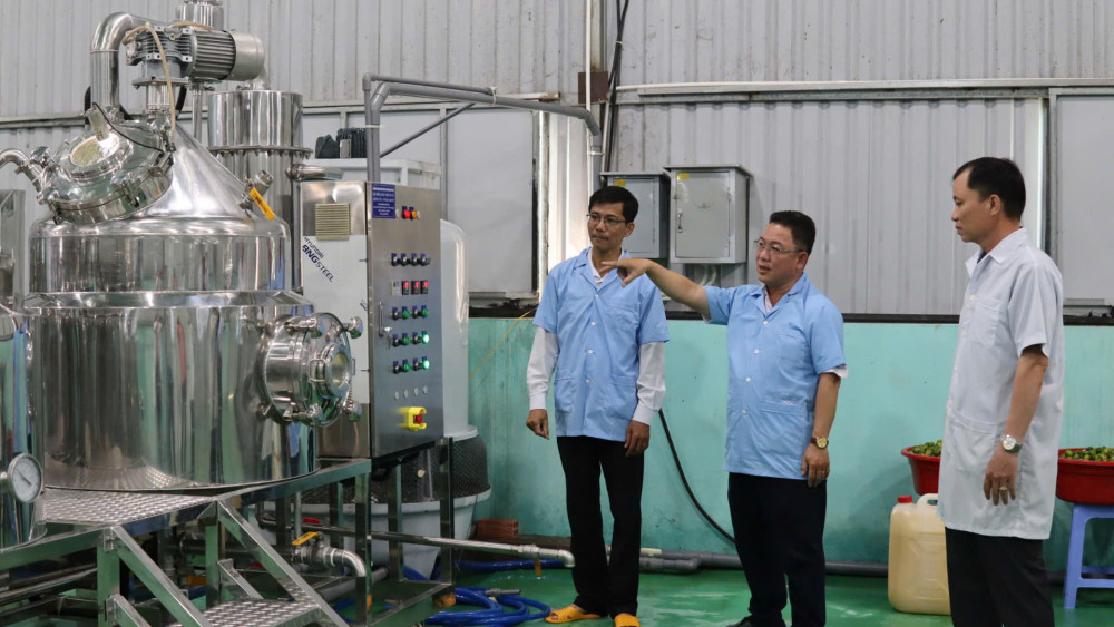 Hỗ trợ m&aacute;y m&oacute;c ti&ecirc;n tiến trong sản xuất nước cốt tắc tươi v&agrave; tinh dầu vỏ tắc