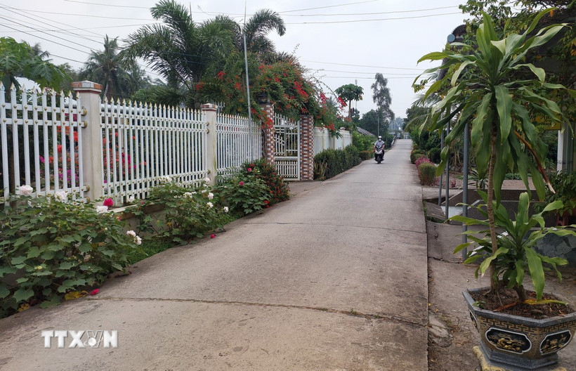 Đường giao thông nông thôn tại Cà Mau được bêtông hóa (Ảnh: Tuấn Kiệt/TTXVN)