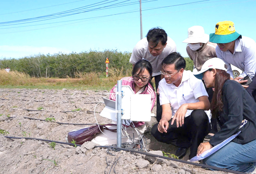 Giám đốc Sở Nông nghiệp và Môi trường Võ Minh Thành (thứ 3, trái qua) tham quan dự án Chuyển đổi hệ thống sản xuất sắn (khoai mì) thông qua canh tác tái sinh và quản lý chuỗi giá trị tinh bột sắn thông minh tại xã Tân Hội