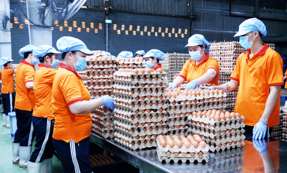 Nhiều doanh nghiệp đang đẩy mạnh sản xuất hướng đến xuất khẩu phục vụ nhu cầu cao của thị trường cuối năm