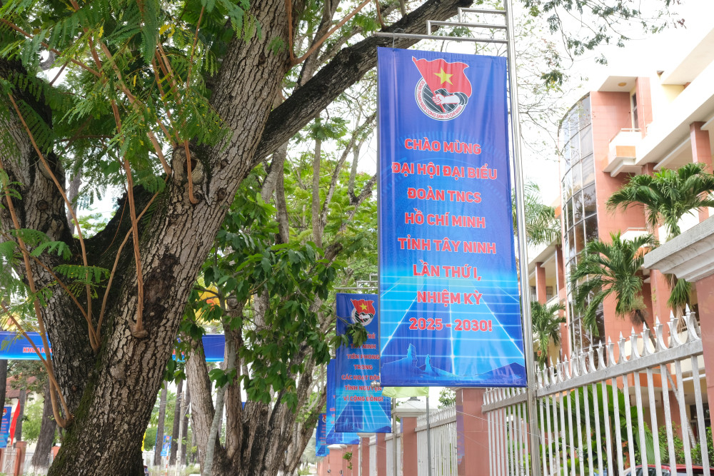 Sắc xanh của Đại hội ngập tràn trên các tuyến đườn