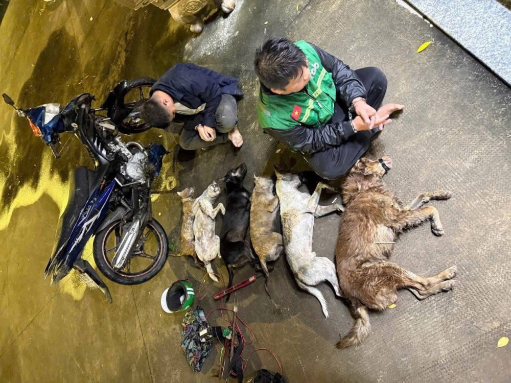 Tang vật là 5 con chó, 1 con mèo và súng bắn điện tự chế