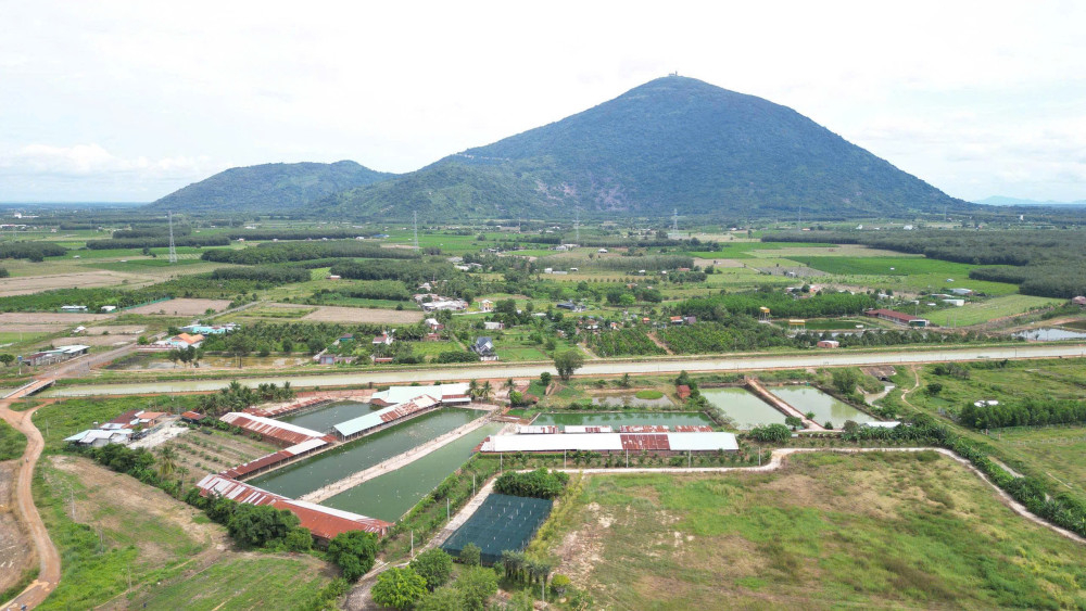 Hiện nay, toàn tỉnh có khoảng 3.376ha đạt chứng nhận VietGAP, 509ha đạt chứng nhận GlobalGAP, 32ha đạt chứng nhận hữu cơ, với sản lượng khoảng 71.575 tấn/năm