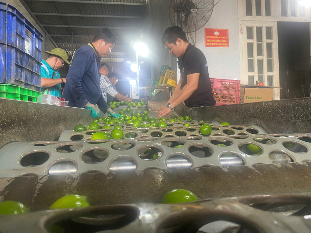 Nông sản Tây Ninh đã được xuất sang các thị trường như Hàn Quốc, Nhật Bản, Hoa Kỳ, Úc, New Zealand, EU, Nga, Anh, Trung Quốc, Hà Lan,…