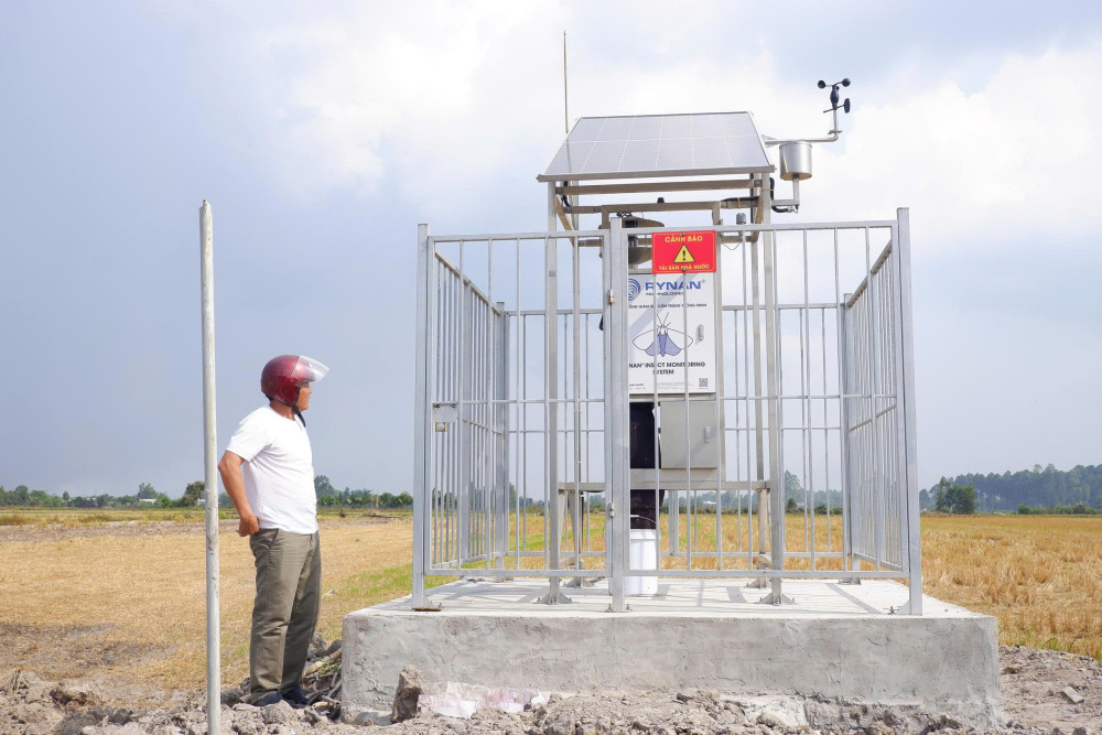 Bẫy đèn thông minh đặt giữa cánh đồng lúa, tự động ghi nhận và phân tích mật độ côn trùng gây hại bằng công nghệ trí tuệ nhân tạo