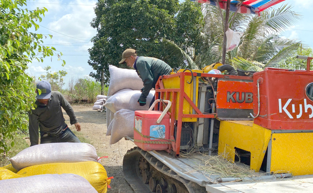 Trên cây lúa, nông dân đã ứng dụng cơ giới hóa vào khâu làm đất, bón phân, xịt thuốc, thu hoạch, sấy lúa