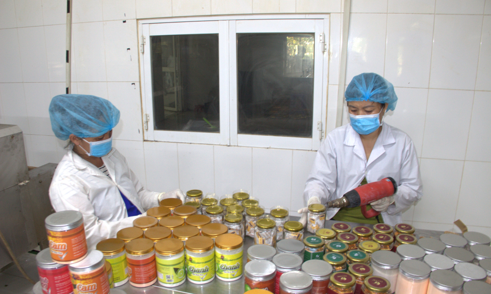 E-commerce for agricultural products&mdash;Expanding high-tech products consumption