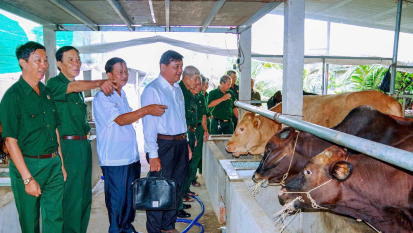 Cựu chiến binh vững v&agrave;ng tr&ecirc;n 'trận tuyến mới'