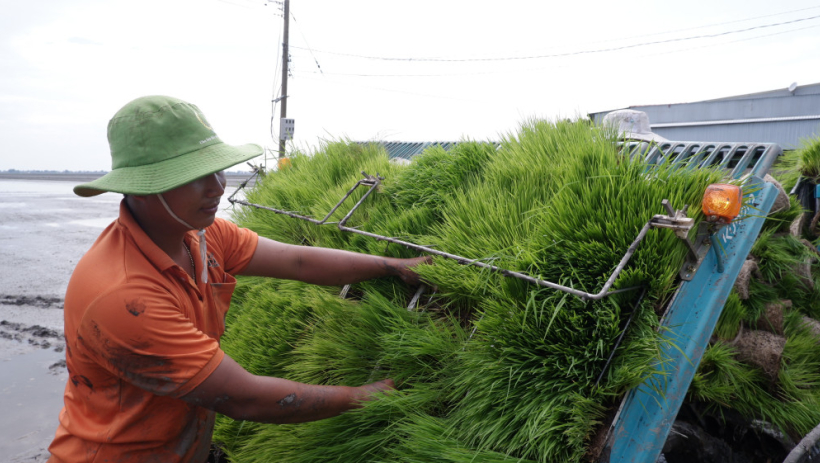 Để c&oacute; vụ l&uacute;a Đ&ocirc;ng Xu&acirc;n thắng lợi