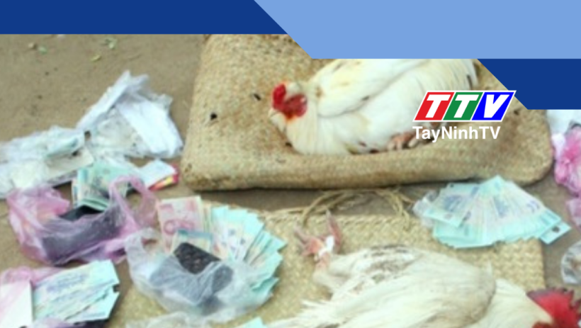 Triệt x&oacute;a tụ điểm đ&aacute;nh bạc bằng h&igrave;nh thức đ&aacute; g&agrave;