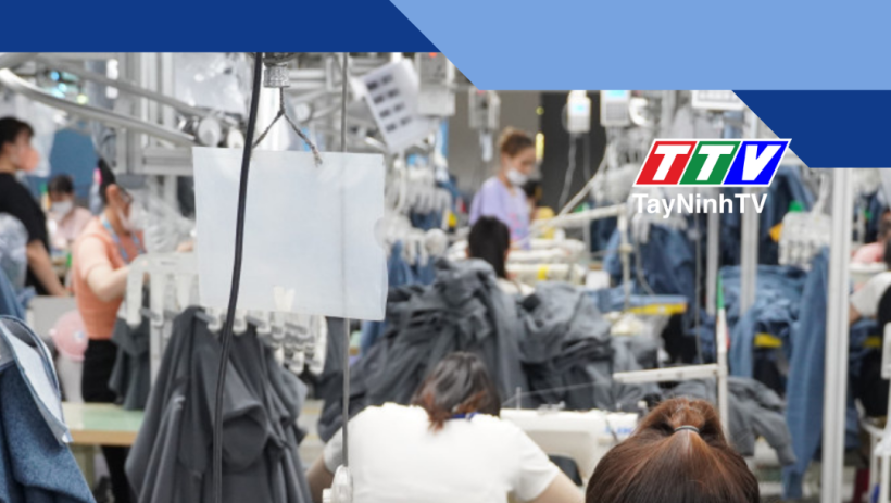 T&acirc;y Ninh: Mức thưởng Tết Nguy&ecirc;n đ&aacute;n 2026 cao nhất dự kiến 600 triệu đồng