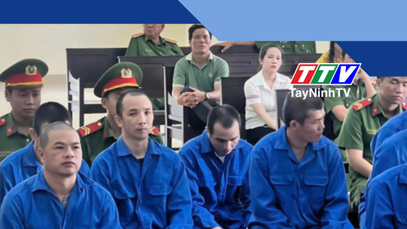 Đề nghị mức &aacute;n hơn 70 năm t&ugrave; cho băng nh&oacute;m chuy&ecirc;n trộm d&acirc;y điện, b&igrave;nh biến &aacute;p