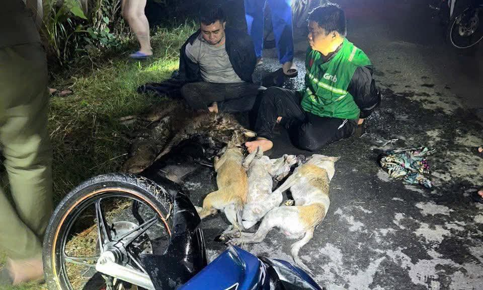 Bắt giữ hai nghi phạm sử dụng súng điện tự chế trộm chó trong đêm