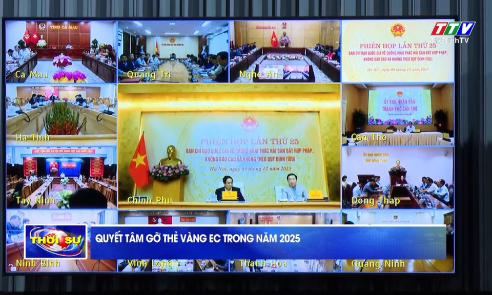 Quyết tâm gỡ thẻ vàng EC trong năm 2025