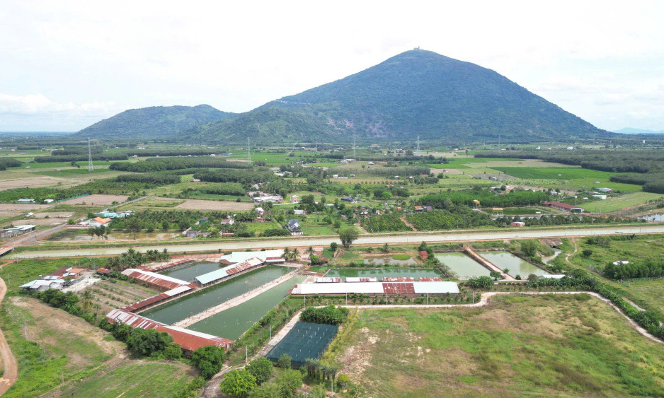 Phát triển vùng nguyên liệu đạt chuẩn GAP