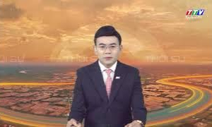 Xã Nhựt Tảo: Người dân giao nộp cá thể chim hồng hoàng quý hiếm