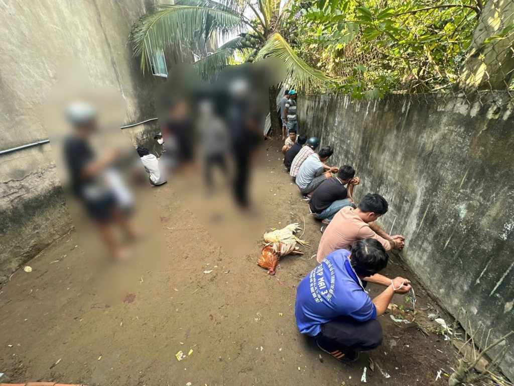 Triệt x&oacute;a tụ điểm đ&aacute;nh bạc bằng h&igrave;nh thức đ&aacute; g&agrave; ngay ng&agrave;y đầu năm