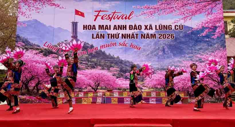 Tuy&ecirc;n Quang khai mạc Festival hoa mai anh đ&agrave;o lần thứ nhất năm 2026