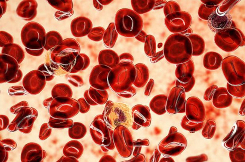 Biến thể gene hiếm chống ung thư m&aacute;u mở ra hướng điều trị mới