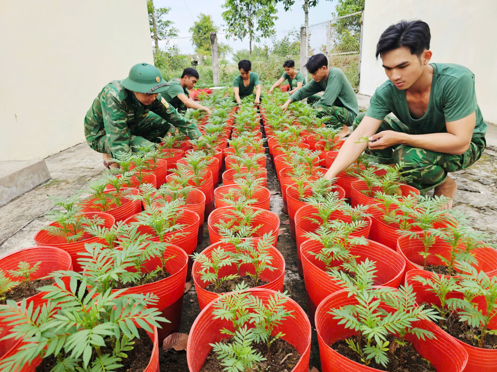 Sắc hoa đ&oacute;n xu&acirc;n nơi bi&ecirc;n giới