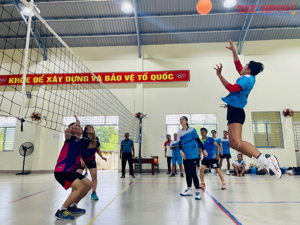 B&oacute;ng chuyền hơi - m&ocirc;n thể thao y&ecirc;u th&iacute;ch của nh&acirc;n vi&ecirc;n văn ph&ograve;ng