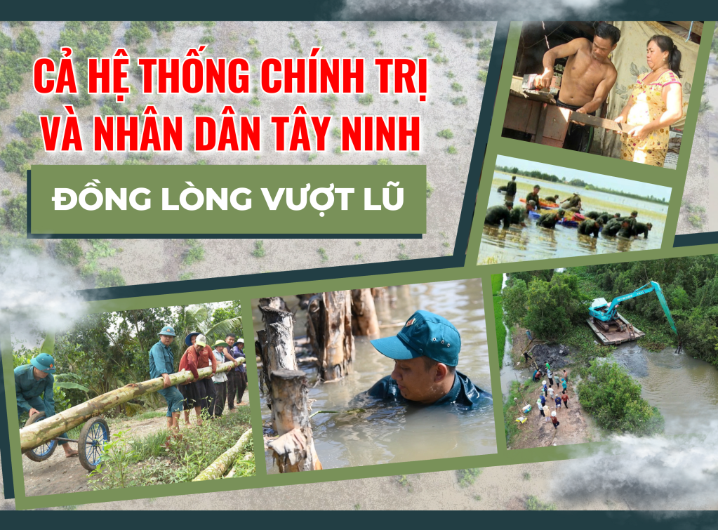 Cả hệ thống ch&iacute;nh trị v&agrave; Nh&acirc;n d&acirc;n T&acirc;y Ninh đồng l&ograve;ng vượt lũ