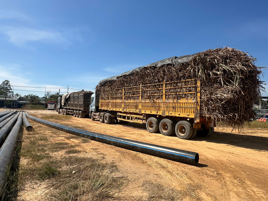 Triển khai đồng bộ c&aacute;c giải ph&aacute;p, hạn chế t&igrave;nh trạng xe chở m&iacute;a qu&aacute; khổ, qu&aacute; tải