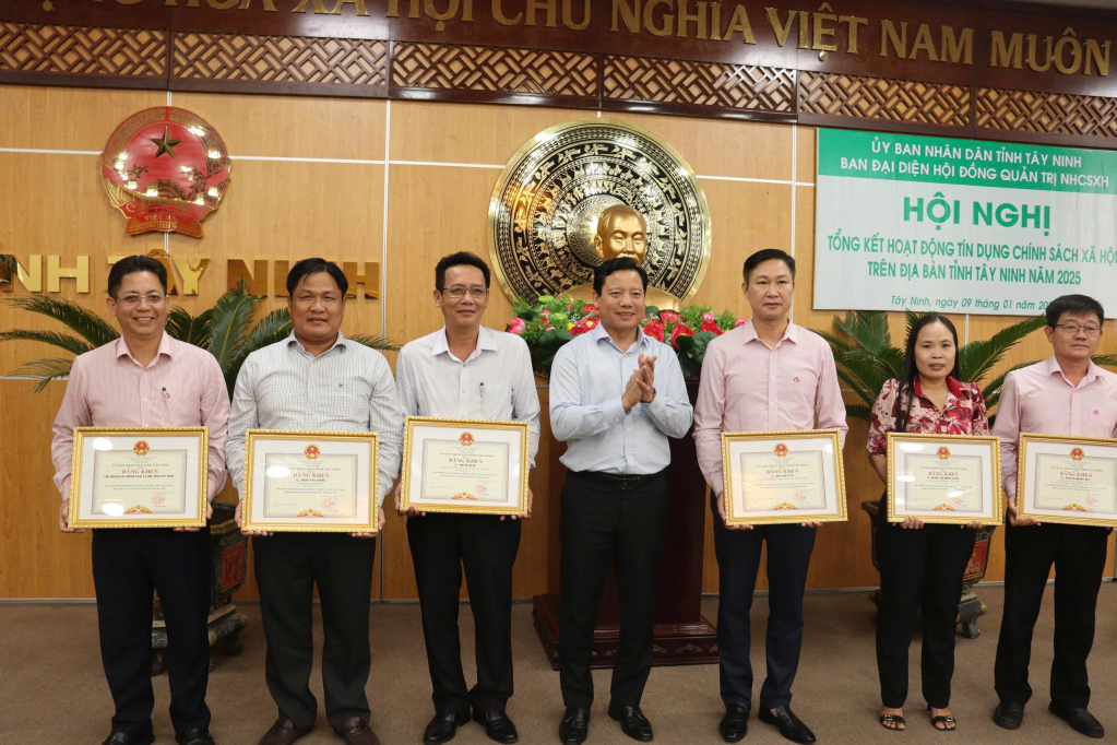 Năm 2026, phấn đấu tr&ecirc;n 99% Tổ tiết kiệm v&agrave; vay vốn t&iacute;n dụng ch&iacute;nh s&aacute;ch xếp loại tốt v&agrave; kh&aacute;